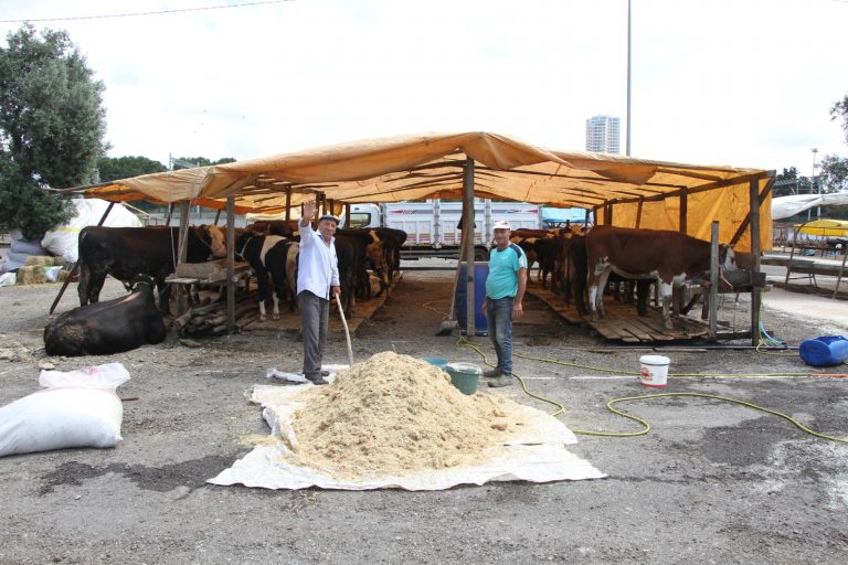 Kartal’da 48 Bin Metrekare Büyüklüğünde Kurban Satış Pazarı Kuruldu