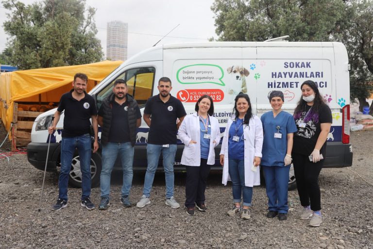 Kartal’da, Kurbanlık Hayvanlar Sağlık Kontrolünden Geçiyor