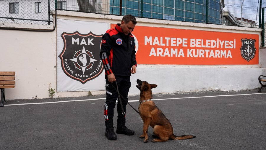 Thor ve Zeyna Arama-Kurtarma Köpeği Oluyor..