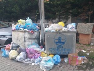 Maltepe’de Çöpler Sokakları Sardı, Vatandaş Tepkili