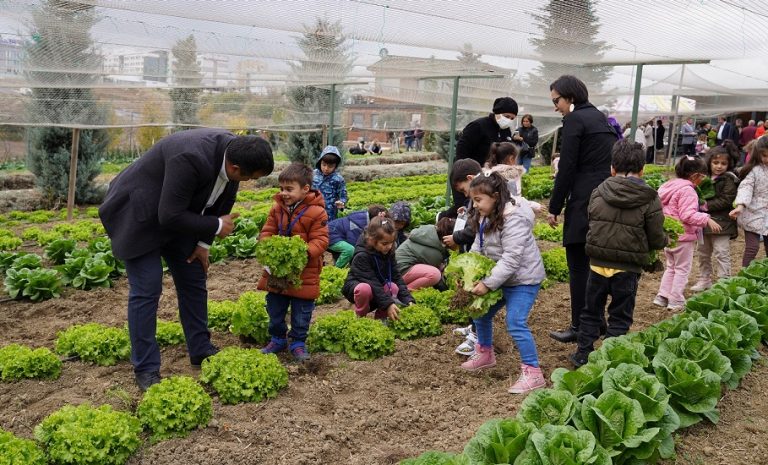 Beylikdüzü kış bahçesinde ilk hasat!